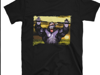 nunchakus-gorilla